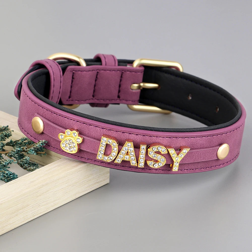 Personalized Leather Dog Collar