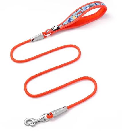 Truelove Dog Leash