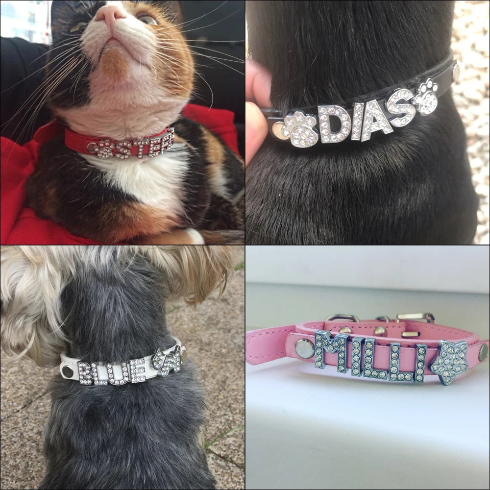 Personalized Small Dogs Collar
