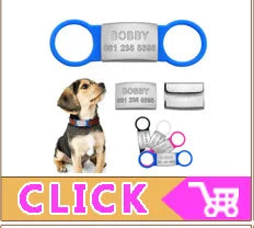 Personalized Small Dogs Collar